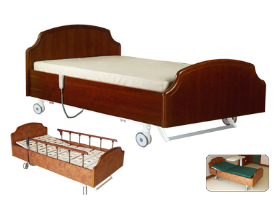 Luxurious Homecare Electric Bed with Five Functious